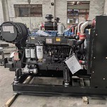 Weichai WP10B325E200 dizel motor